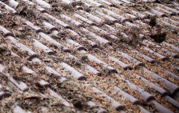 Hemlington roof cleaning companies