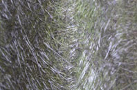 Hemlington fibreglass roof work