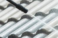 rated Hemlington roof cleaning companies