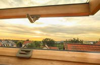 rated Hemlington roof window companies